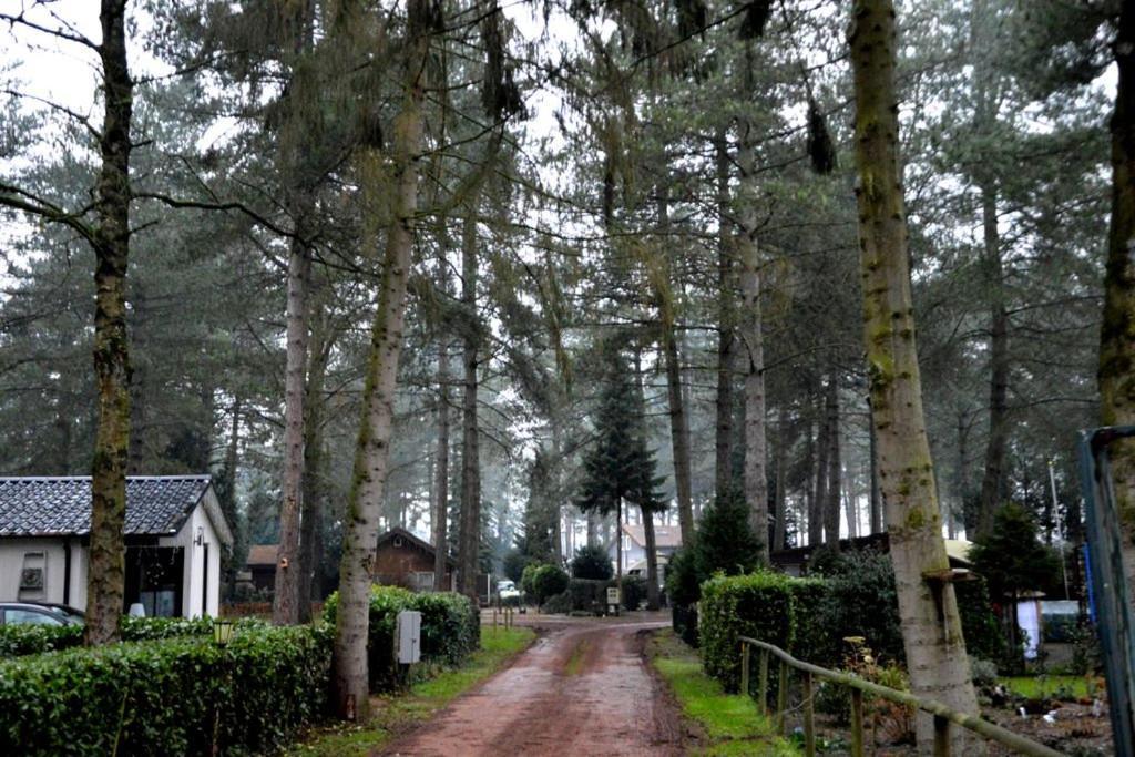 Luxe Vakantiehuis In Het Bos Overbroek Exterior foto